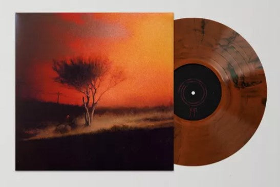 Joji - Piss In The Wind UO Exclusive LP USA IMPORT – Black Vinyl