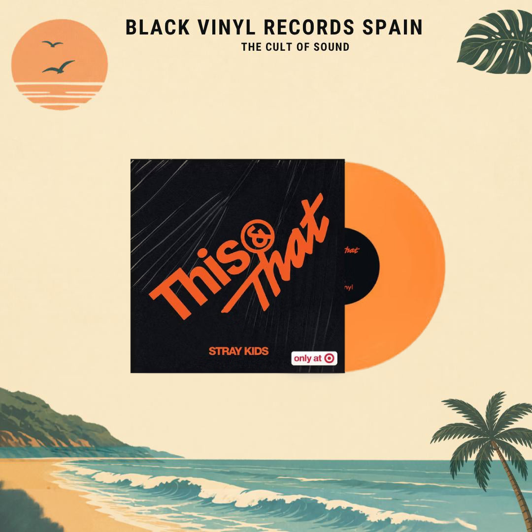 スキズ スStray キズKids Lee THISまとめ売り &THAT Target VINYL