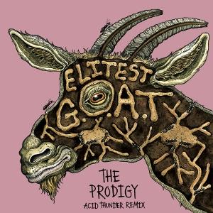 Sleaford Mods - Elitest G.O.A.T - The Prodigy Acid Thunder Remix Gold Vinyl edition - Black Vinyl Records Spain