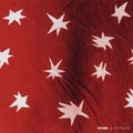 Citizen AS YOU PLEASE (Ltd. Apple Red Vinyl)