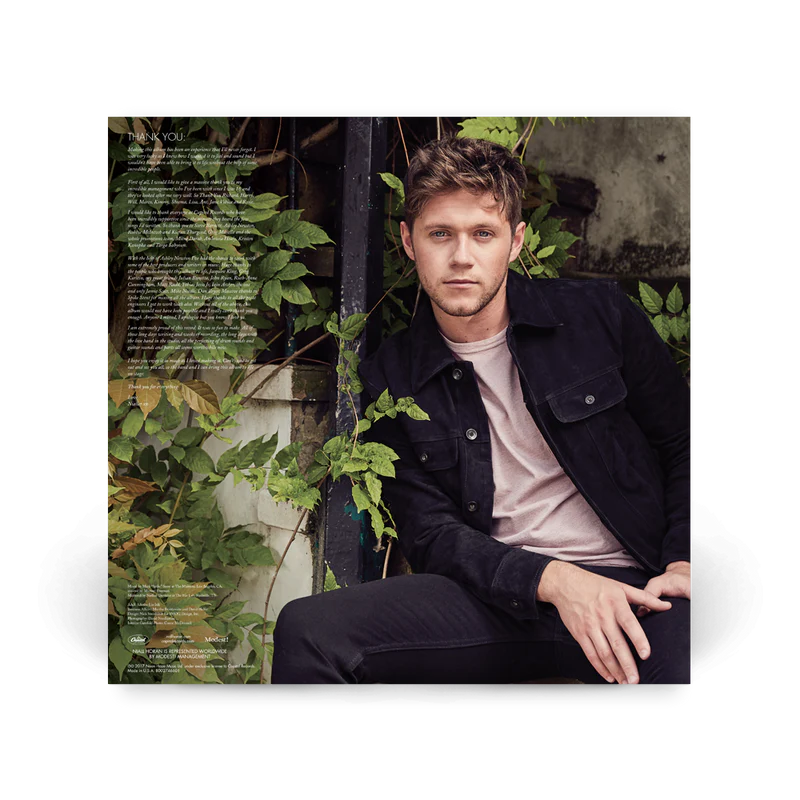 Niall Horan Flicker - Blue Swirl Vinyl USA