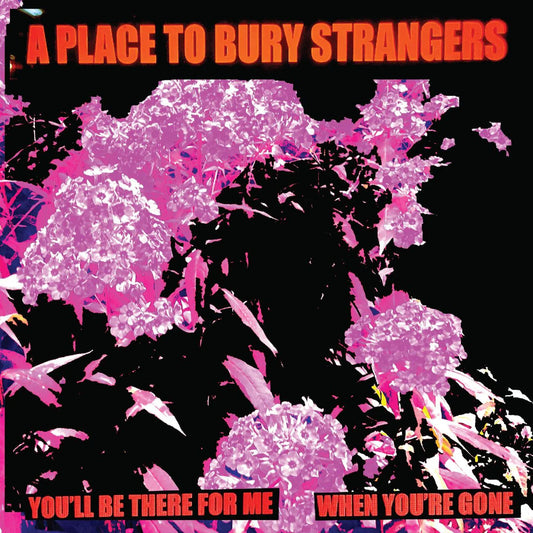 A Place To Bury Strangers: You'll be there for Me/When You're Gone