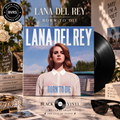 Lana Del Rey - Born To Die - LP