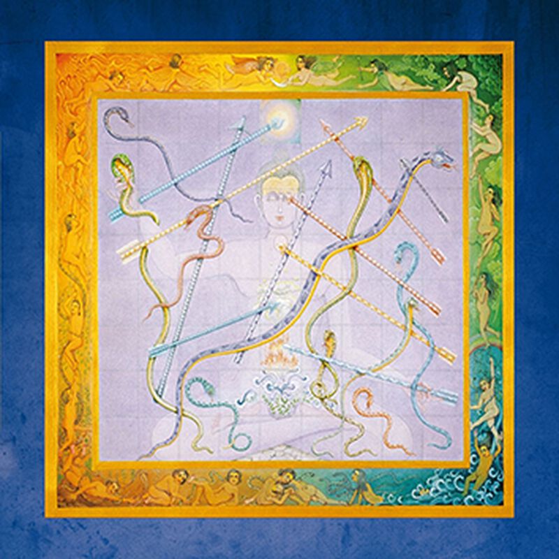 Rush Snakes & Arrows LP