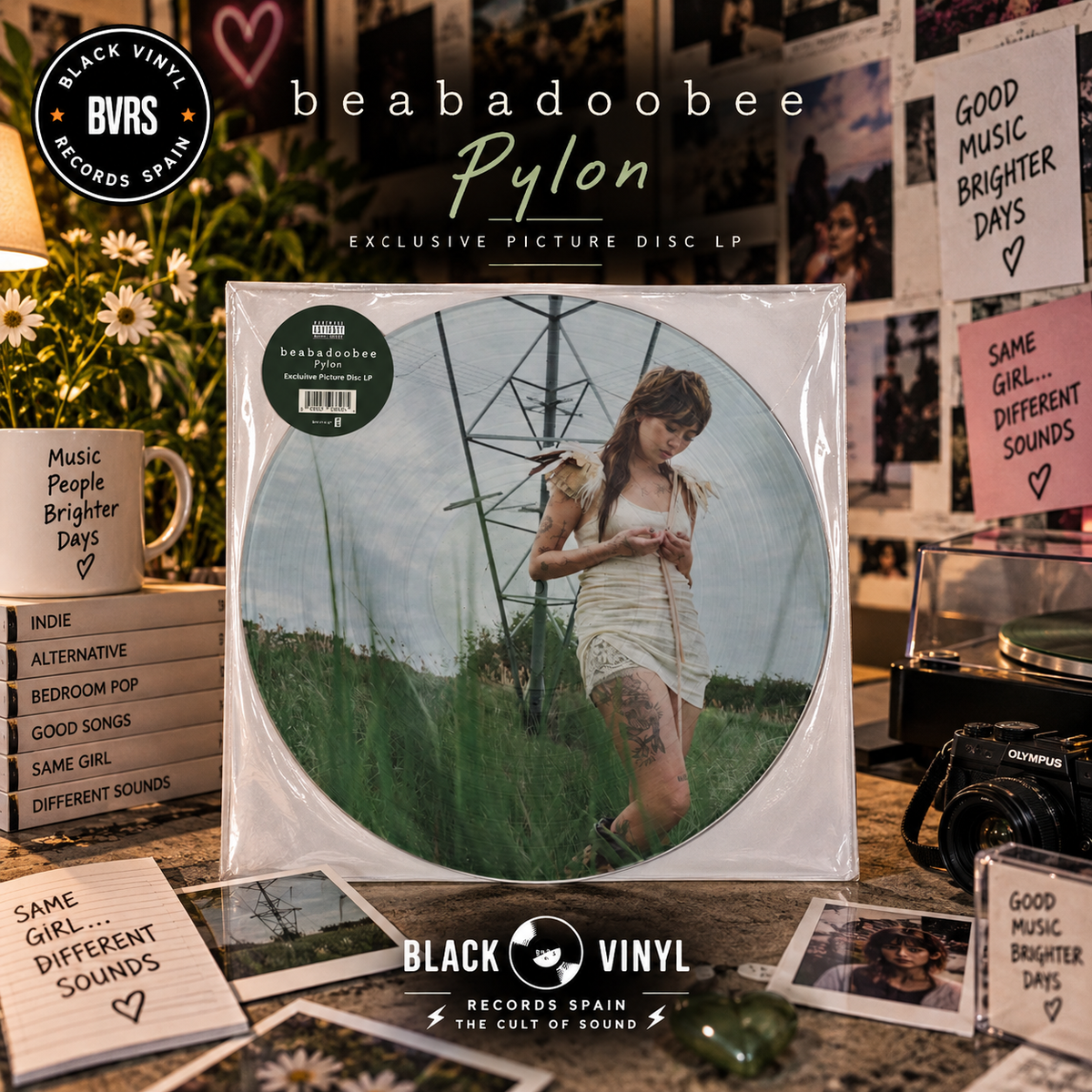 beabadoobee - Pylon Exclusive Picture Disc LP