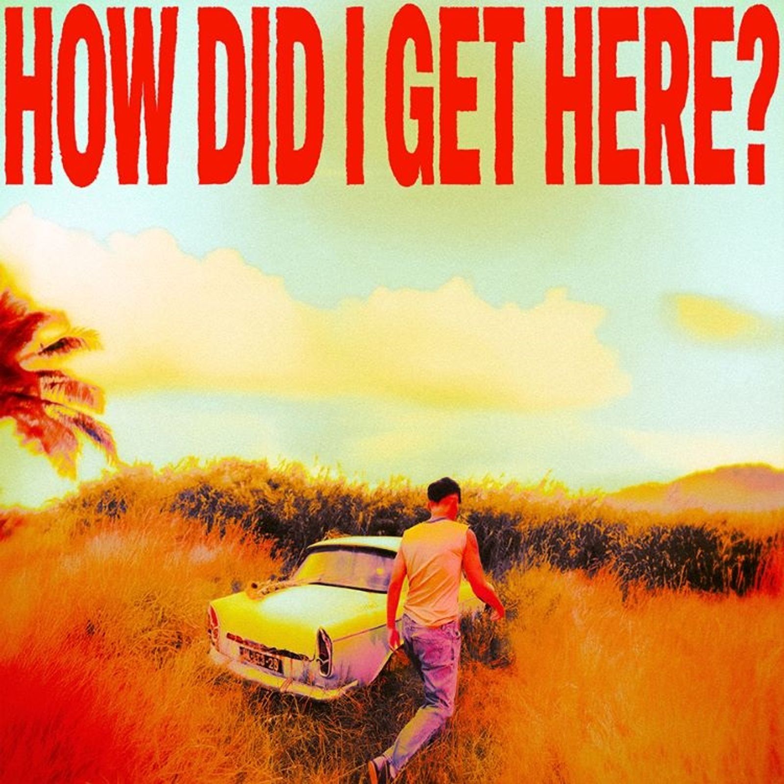 Louis Tomlinson: How Did I Get Here? (Clear Vinyl) LP