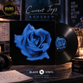 Current Joys - Rosebud - LP