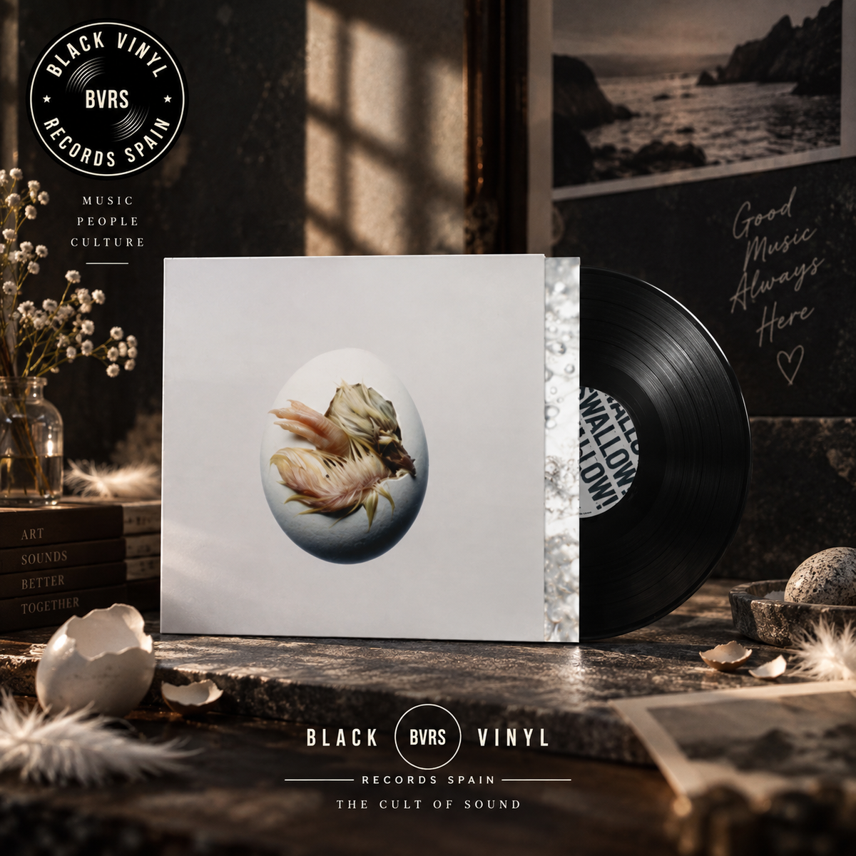 Shygirl (Blane Muise): Swallow! lp negro
