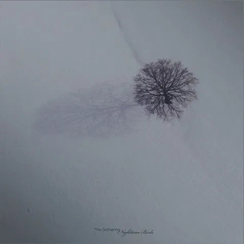 The Gathering Nighttime Birds LP