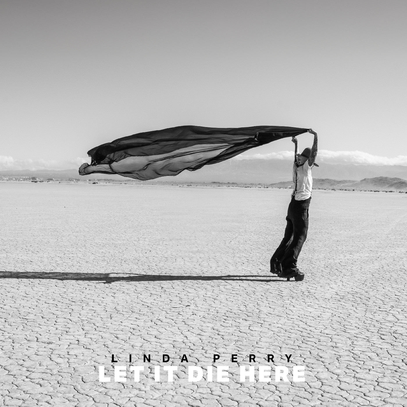 Linda Perry (4 Non Blondes) Let it die Here 2 LPs