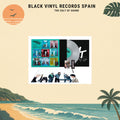 Stray Kids - THIS & THAT (MOONSTONE) lp gris