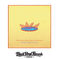 Everything Else Has Gone Wrong (Deluxe Edition) [2LP] - Bombay Bicycle Club