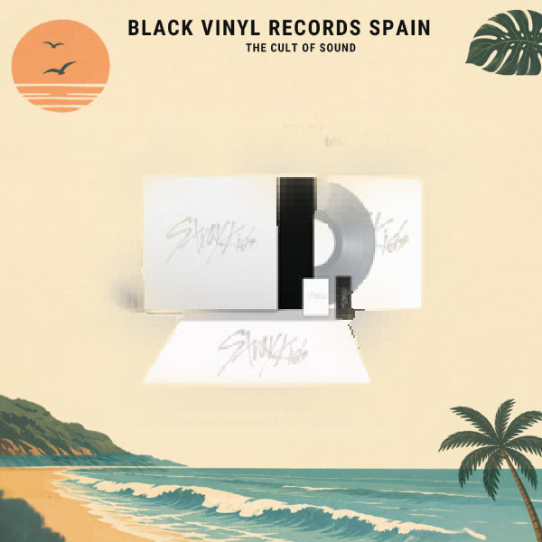 Stray Kids - THIS & THAT (MOONSTONE) lp gris