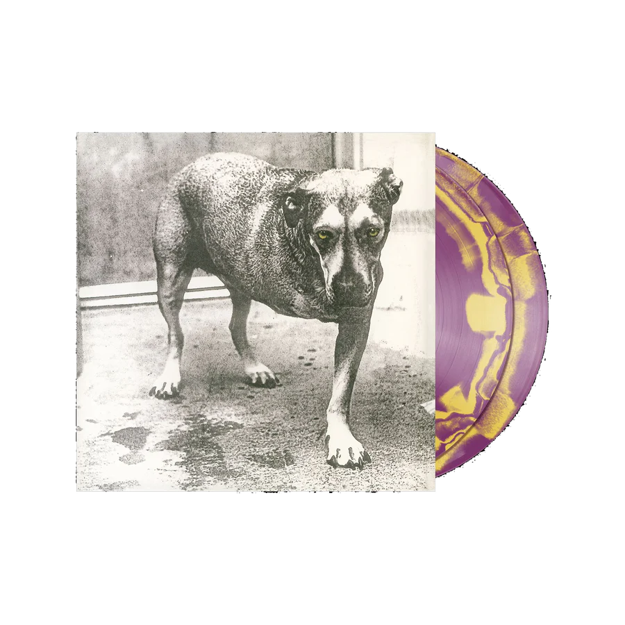 ALICE IN CHAINS - ALICE IN CHAINS COLOR EXCLUSIVO UK