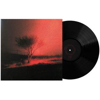 Joji - Piss In The Wind LP