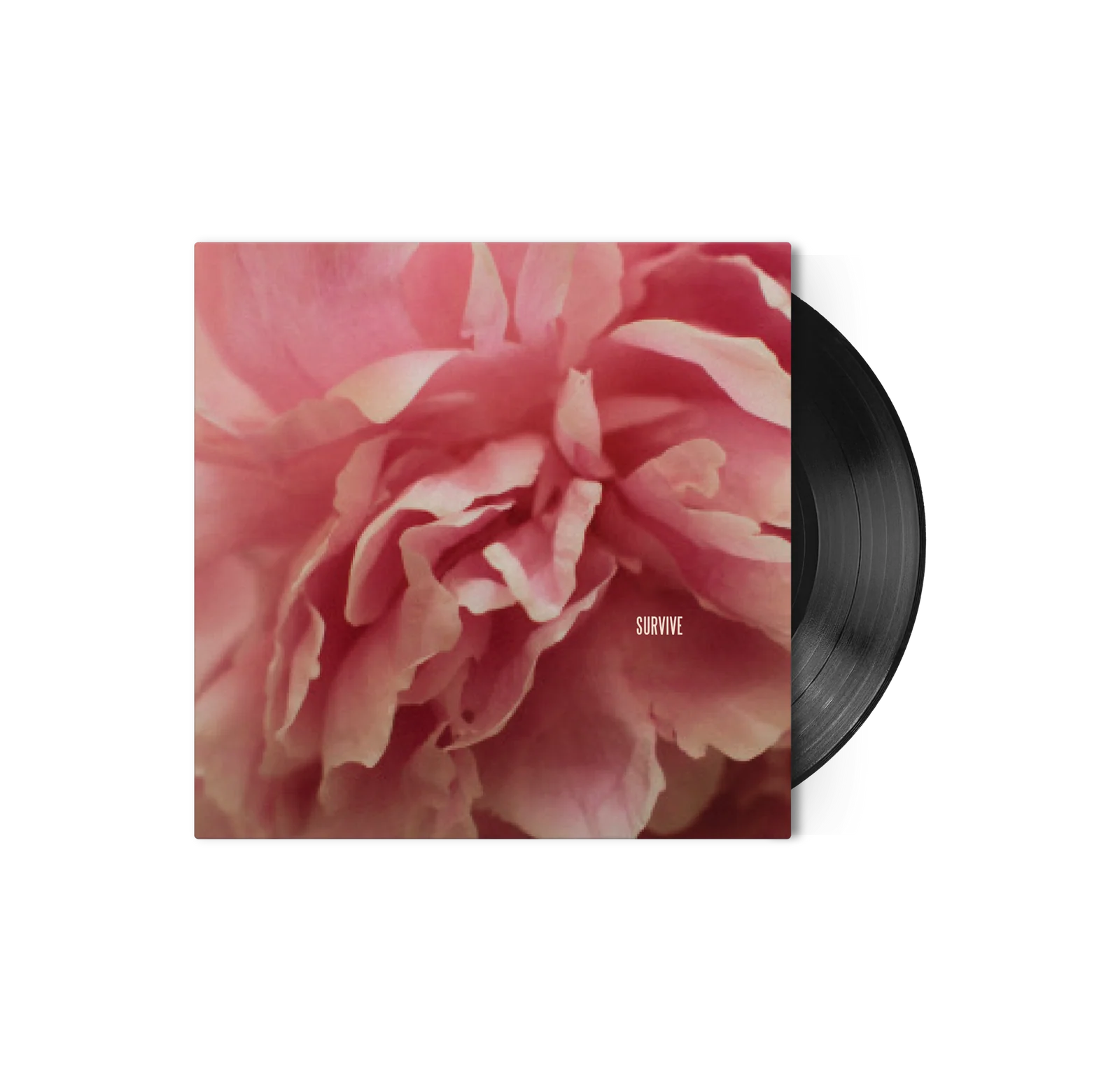 Lewis Capaldi Survive / Survive Live 7" USA