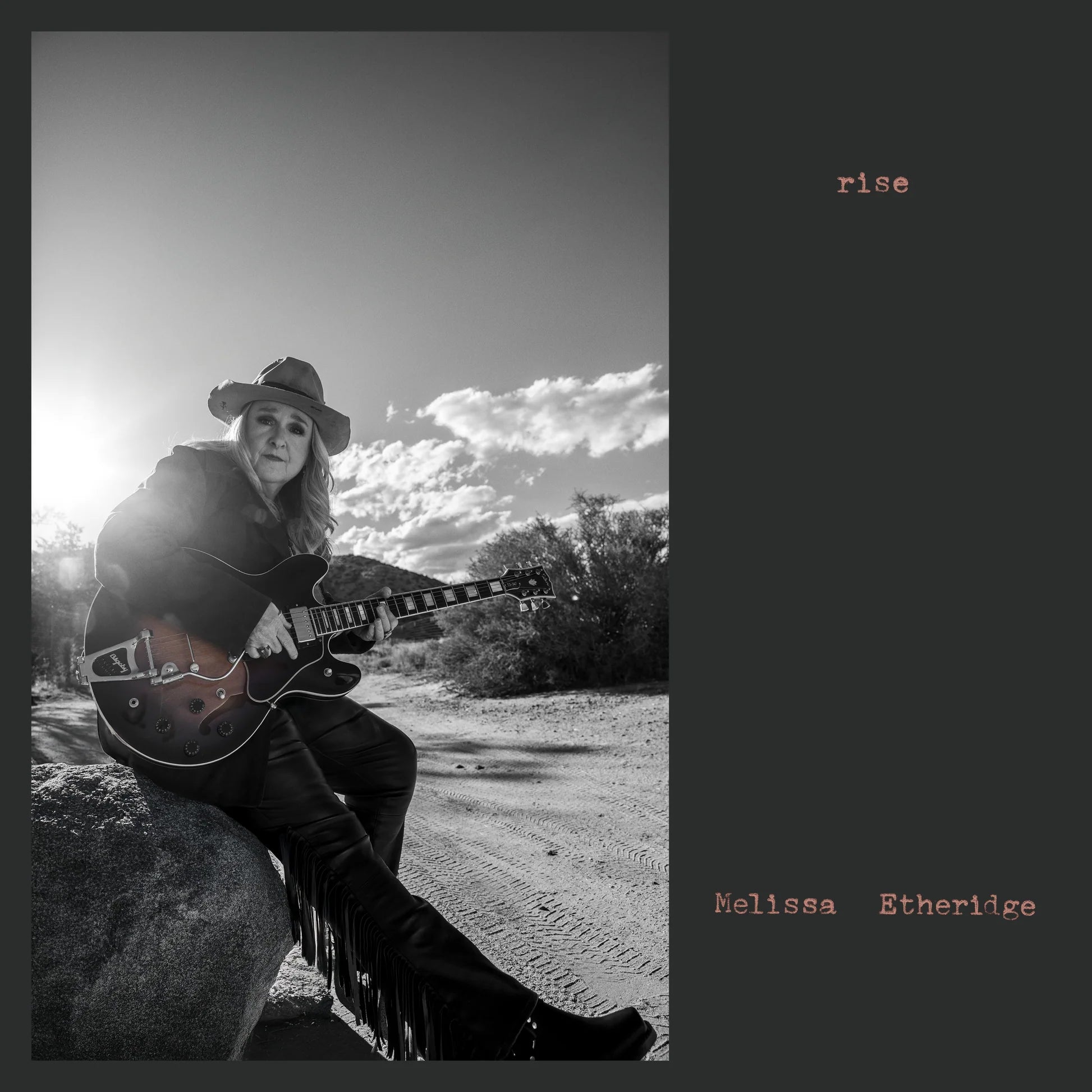 Melissa Etheridge: Rise LP