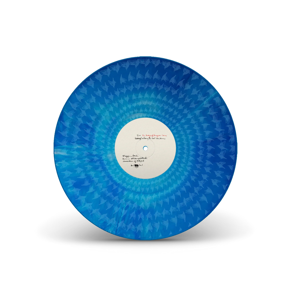Paul McCartney - The Boys of Dungeon Lane - Special Edition Orange & Blue Marble Vinyl 2LP
