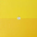 Gustavo Cerati – Amor Amarillo 2lp import