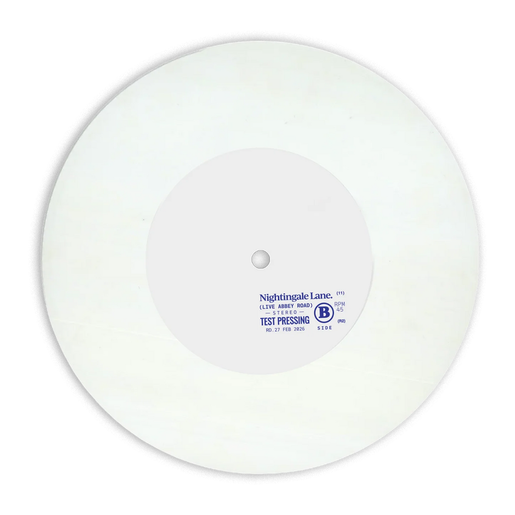 RAYE - Nightingale Lane. 7" Vinyl USA