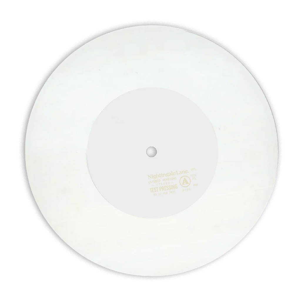 RAYE - Nightingale Lane. 7" Vinyl USA