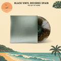 Pylon (Exclusive Foil Sleeve) ('Bird Shit' Vinyl) - beabadoobee