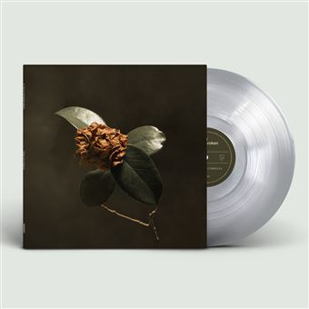 St. Paul & The Broken Bones: Young Sick Camellia LP CLEAR
