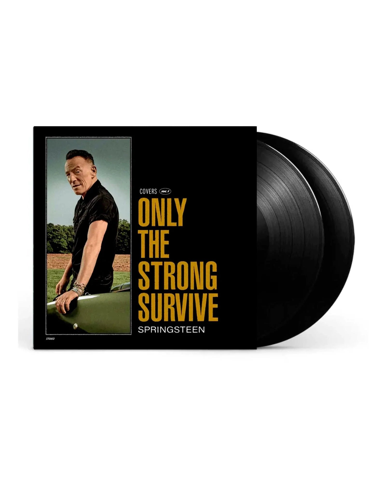 Bruce Springsteen: Only The Strong Survive - Black Vinyl Records Spain