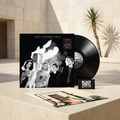 BVRS de Hole Celebrity Skin con vinilo negro e inserto