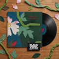 BVRS de Tindersticks, Dog Roses