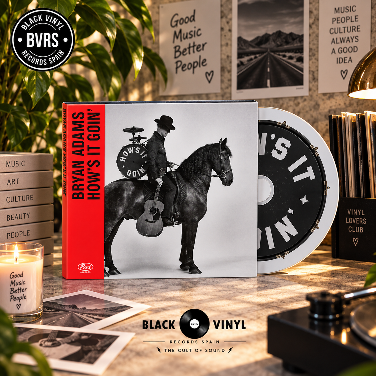 Bryan Adams: How's It Goin' (CD)