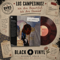 Los Campesinos! - We Are Beautiful, We Are Doomed (VMP Marble Vinyl Me Please)