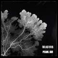 Pearl Jam – The Last of Us x Pearl Jam | EP 12" Edición Limitada - Black Vinyl Records Spain
