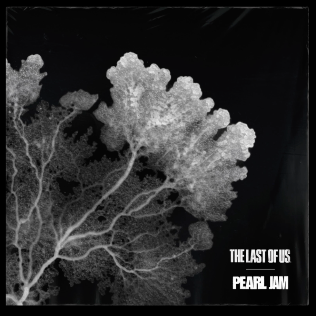 Pearl Jam – The Last of Us x Pearl Jam | EP 12" Edición Limitada - Black Vinyl Records Spain