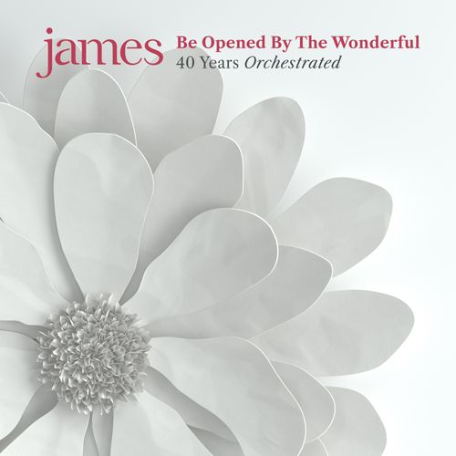 James - Be opened by the wonderful 2lp blanco - Black Vinyl Records Spain