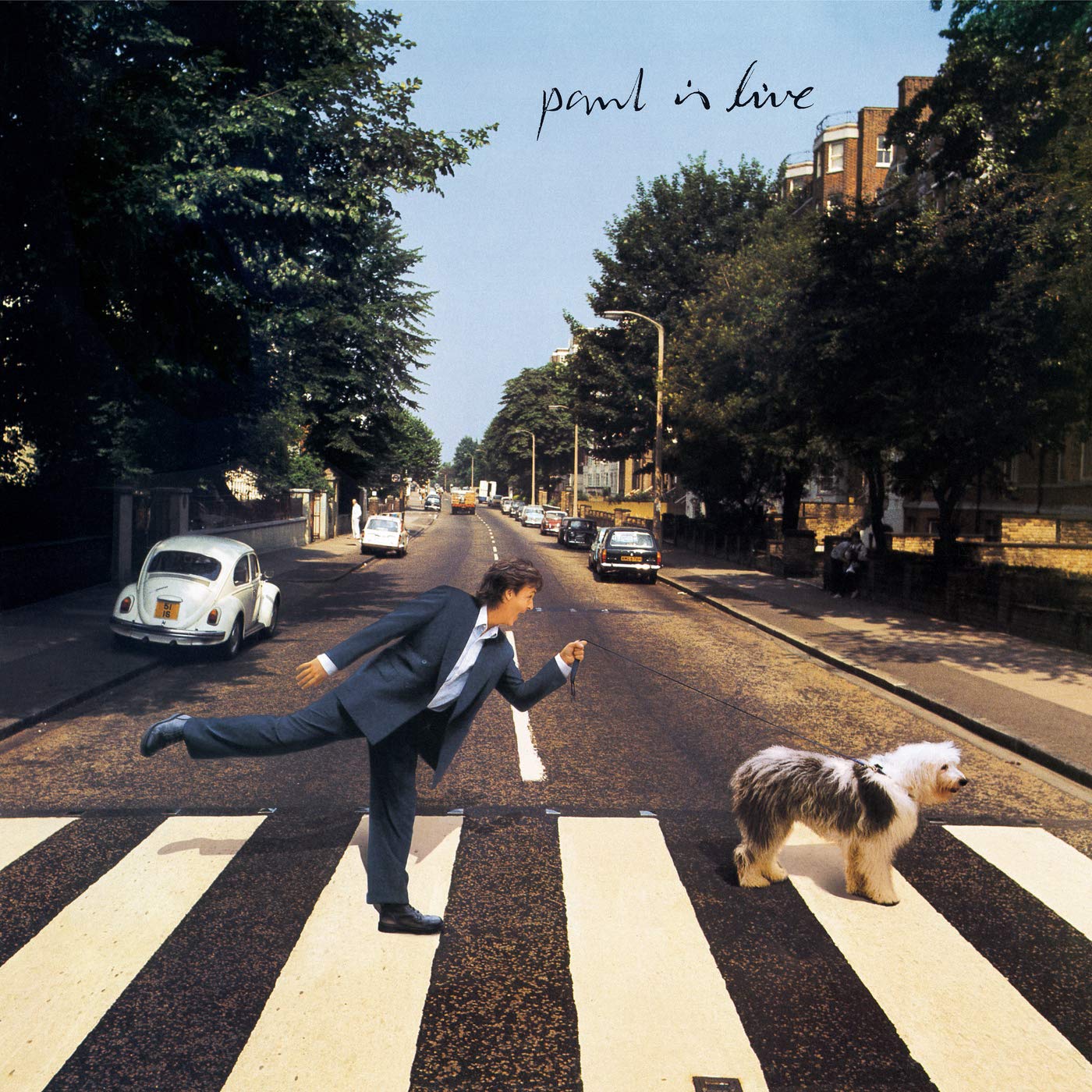 Paul McCartney: Paul Is Live (remastered) (180g) 2 LPs*** Gatefold Cover